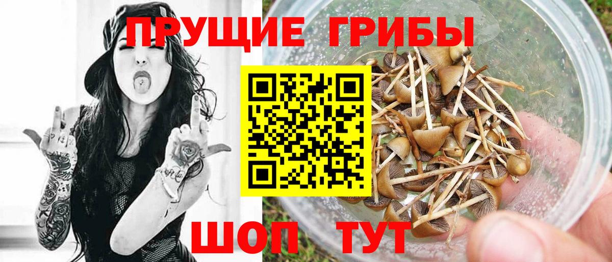 Псилоцибиновые грибы прущие грибы Новошахтинск